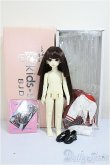 画像8: Kids Sky/Coral 珊瑚/BJD　球体関節人形 A-25-07-23-244-YB-ZA (8)
