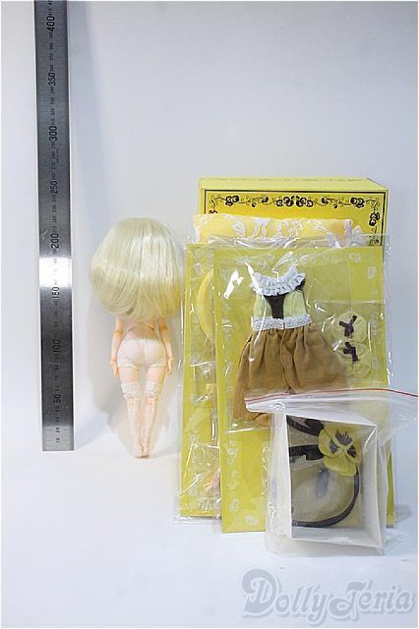 画像5: Harmonia bloom/パンジー Pansy/ A-25-06-25-471-YB-ZA (5)