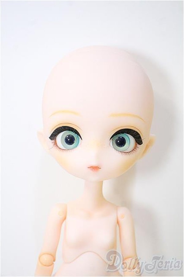 画像6: Harmonia bloom/パンジー Pansy/ A-25-06-25-471-YB-ZA (6)