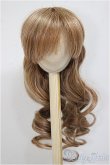 画像1: 8-9inchウィッグ/ロング/インチ　BJD　MJD　ドール用 A-25-08-06-370-YB-ZA (1)
