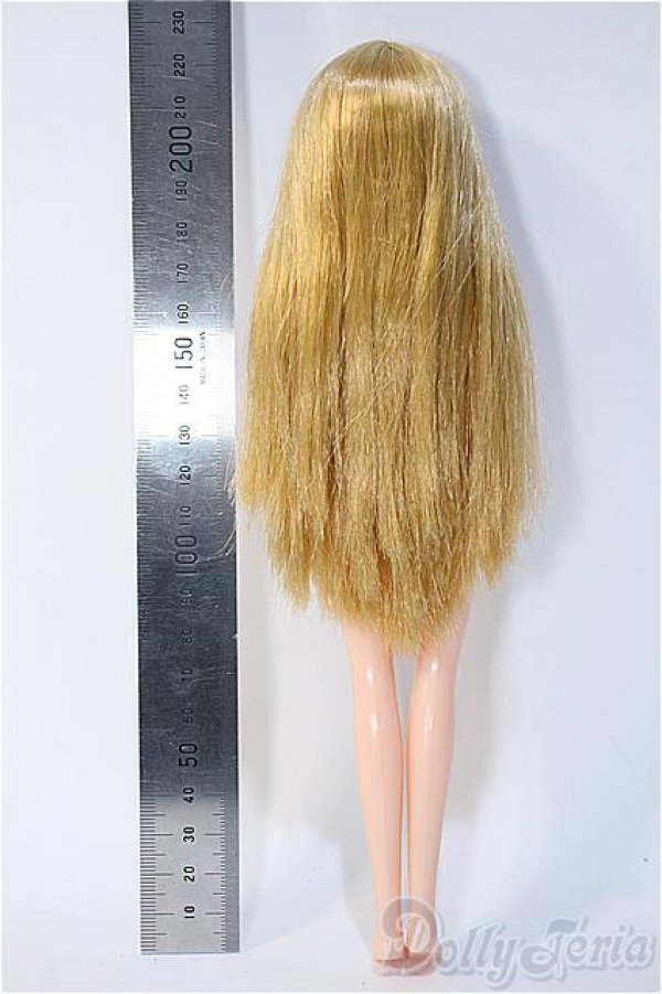 画像3: リカちゃん/キャッスル製本体(ロングストレート) Y-25-02-26-274-TN-ZY (3)