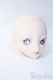 画像2: DD/DDH-09:カスタムヘッド(エルフ耳)/BJD　球体関節人形 A-25-03-12-407-YB-ZA (2)