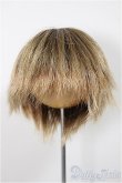 画像1: 9〜10inchウィッグ/グラデーションショート(ボークス製)/インチ　BJD　MJD　ドール用 A-25-08-20-182-YB-ZA (1)
