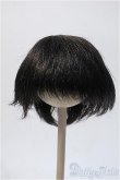 画像1: 9-10inchウィッグ Y-25-02-19-203-YB-ZY (1)