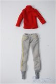 画像1: momoko/OF 衣装 トップス+スウェットデザインパンツ(セキグチ/ペットワークス) Y-24-12-18-182-YB-ZY (1)