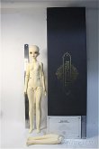 画像8: BJD CROBI/M Line Girl:Zia Y-25-02-19-241-YB-ZY (8)