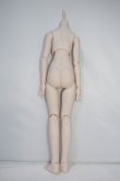 画像2: MDD/ベースボディ(DD-f3)セミホワイト Y-24-05-14-143-YB-ZY (2)