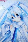 画像1: DD/雪ミク Y-24-12-18-339-YB-ZY (1)