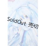画像: DD/雪ミク Y-24-12-18-339-YB-ZY