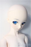 画像3: DD/雪ミク Y-24-12-18-339-YB-ZY (3)