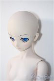 画像4: DD/雪ミク Y-24-12-18-339-YB-ZY (4)