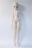 画像5: DD/雪ミク Y-24-12-18-339-YB-ZY (5)