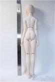 画像6: DD/雪ミク Y-24-12-18-339-YB-ZY (6)