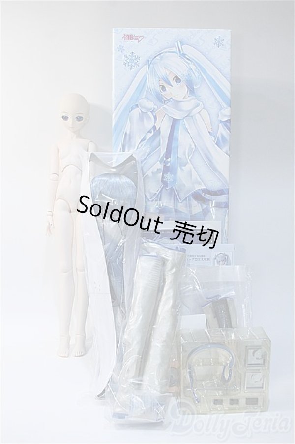 画像7: DD/雪ミク Y-24-12-18-339-YB-ZY (7)