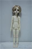 画像4: Gem of doll/Toby,Oolong tea Y-24-06-12-147-YD-ZY (4)