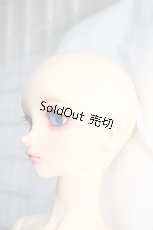 画像3: SD/フルチョイス:SD-F-100ヘッド Y-24-04-24-001-YB-ZY (3)