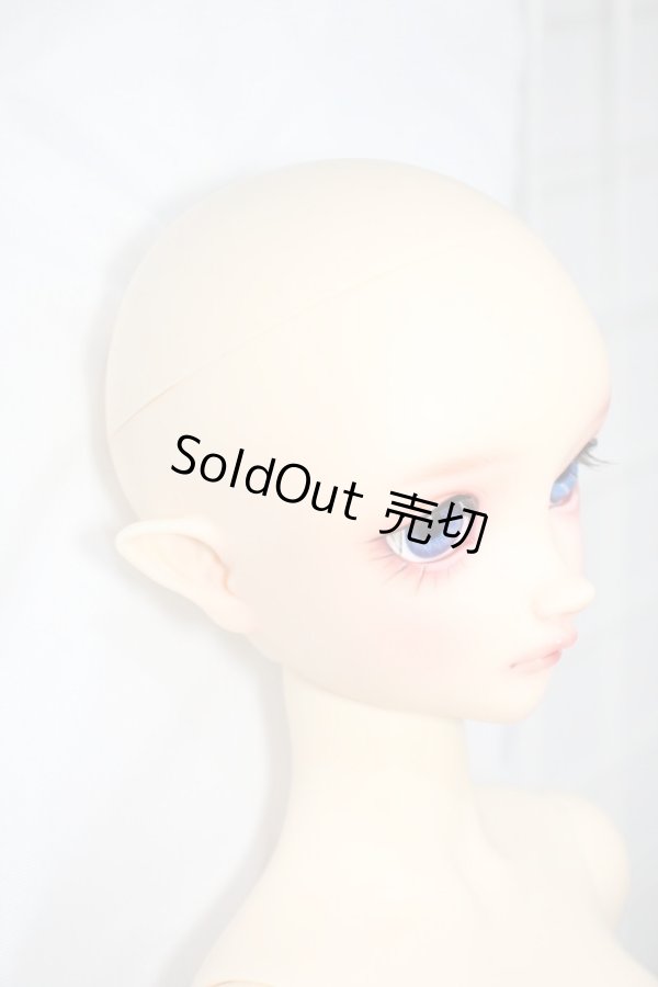 画像4: SD/フルチョイス:SD-F-100ヘッド Y-24-04-24-001-YB-ZY (4)