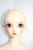 画像5: SD/フルチョイス:SD-F-100ヘッド Y-24-04-24-001-YB-ZY (5)