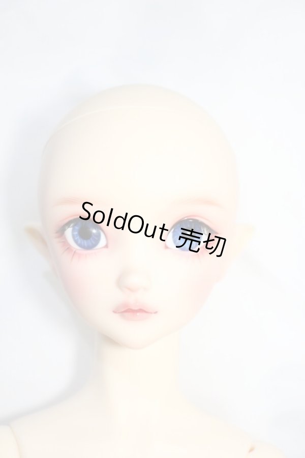 画像5: SD/フルチョイス:SD-F-100ヘッド Y-24-04-24-001-YB-ZY (5)