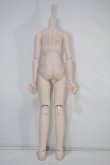 画像3: MDD/上半身(Cohullen-druith様)下半身(kakuso doll様)男の子ベースボディ DD-F3 Y-24-04-24-055-YB-ZY (3)