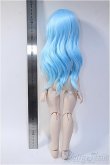 画像5: MDD/DDH-01 D'CORD Y-24-12-25-264-TN-ZY (5)