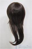 画像2: 9-10inchウィッグ/ロング/インチ　BJD　MJD　ドール用 A-25-08-13-385-YB-ZA (2)