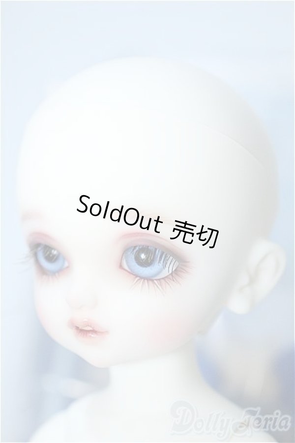 画像3: 幼SD/L'oiseau bleu 青い鳥(ロワゾブル) Y-24-05-29-001-YB-ZY (3)