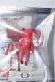 画像: フォーチュンワンダ/フロスト・フローム Frost Frowm/ A-25-03-05-367-YB-ZA
