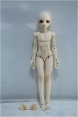 画像4: elfinstore/1/7ノアS Y-24-06-19-175-YD-ZY (4)