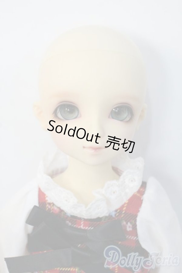 画像6: SDM女の子/F-39:フルチョイス Y-25-01-15-236-YD-ZY (6)