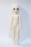 画像4: XAGADOLL/MItata Y-24-12-25-270-NY-ZY (4)