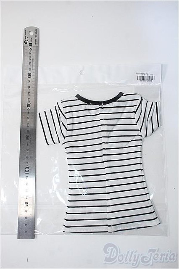 画像2: SD16G/OF:Tシャツ Y-24-12-11-167-YD-ZY (2)