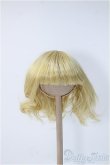 画像1: 7〜8inch/ウィッグ Y-25-01-08-280-YD-ZY (1)