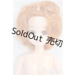 画像: リカちゃんキャッスル/リカちゃん本体 I-25-09-21-171-YD-ZI