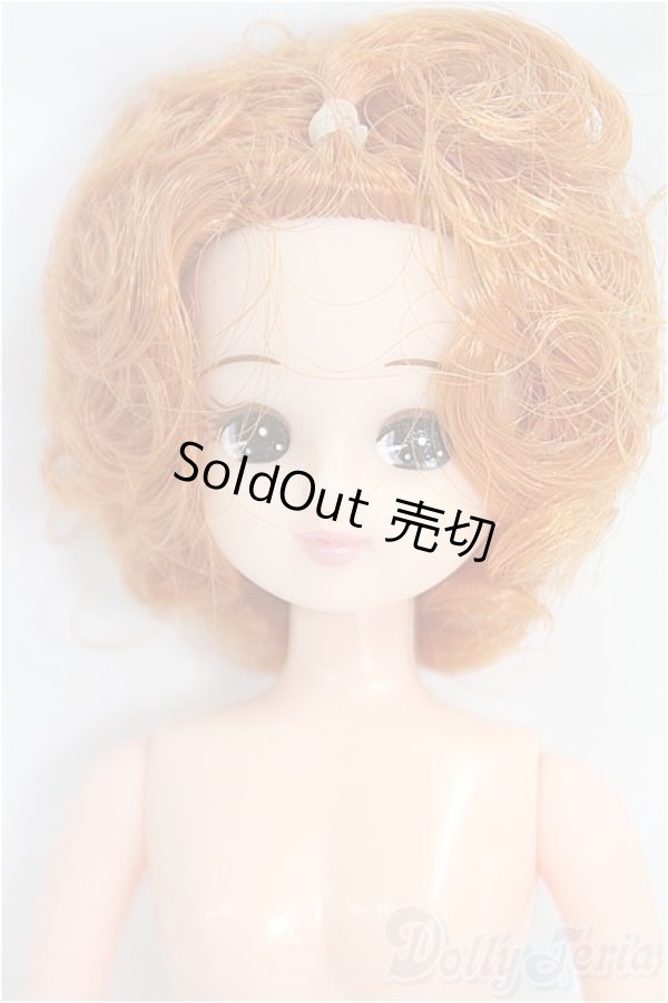 画像1: リカちゃんキャッスル/リカちゃん本体 I-25-09-21-171-YD-ZI (1)