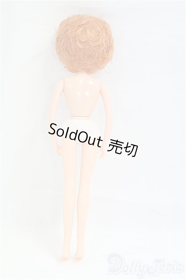 画像5: リカちゃんキャッスル/リカちゃん本体 I-25-09-21-171-YD-ZI (5)