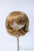 画像1: 【新品】10〜11inchウィッグ Y-25-01-22-196-TN-ZY (1)