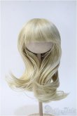 画像1: 【新品】10〜11inchウィッグ Y-25-01-22-198-TN-ZY (1)