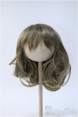 画像1: 【新品】10〜11inchウィッグ Y-25-01-22-199-TN-ZY (1)