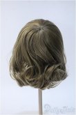 画像2: 【新品】10〜11inchウィッグ Y-25-01-22-199-TN-ZY (2)