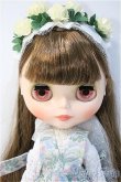 画像5: ネオブライス/ブルーラビット Y-25-01-22-136-YD-ZY (5)