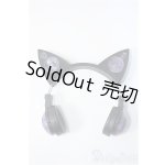 画像: SD/ヘッドホン Y-25-03-12-110-YD-ZY