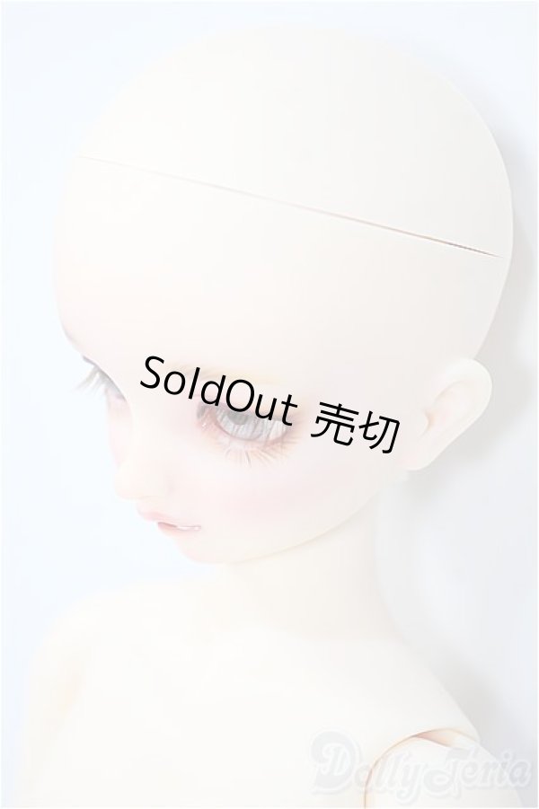 画像3: SDMG/F-62：コーディネートモデル Y-24-08-28-240-YD-ZY (3)