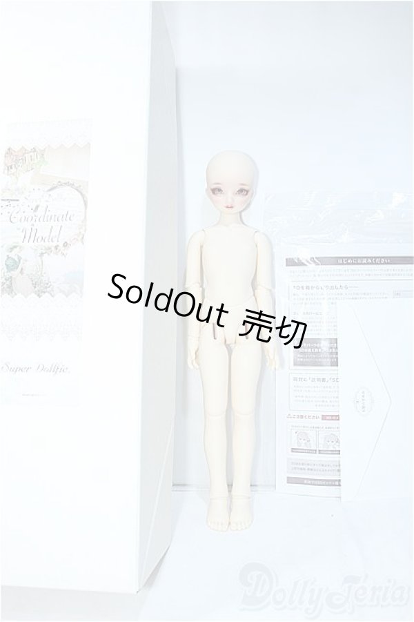 画像4: SDMG/F-62：コーディネートモデル Y-24-08-28-240-YD-ZY (4)