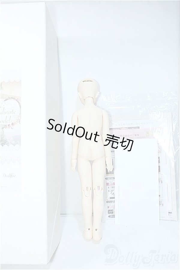 画像5: SDMG/F-62：コーディネートモデル Y-24-08-28-240-YD-ZY (5)