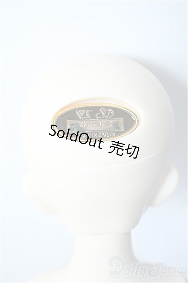 画像6: SDMG/F-62：コーディネートモデル Y-24-08-28-240-YD-ZY (6)