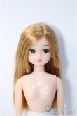 画像1: リカちゃん/本体：ストレート Y-25-02-26-270-YD-ZY (1)