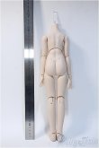 画像2: MDDベースボディ Y-24-12-18-316-YD-ZY (2)