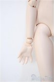 画像3: MDDベースボディ Y-24-12-18-316-YD-ZY (3)