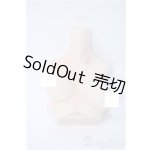 画像: angelphilia/外皮ボディパーツ：上胴 Y-25-09-10-228-YD-ZY